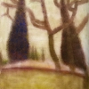 7.Big Cypresses in Ein Harod, 1997